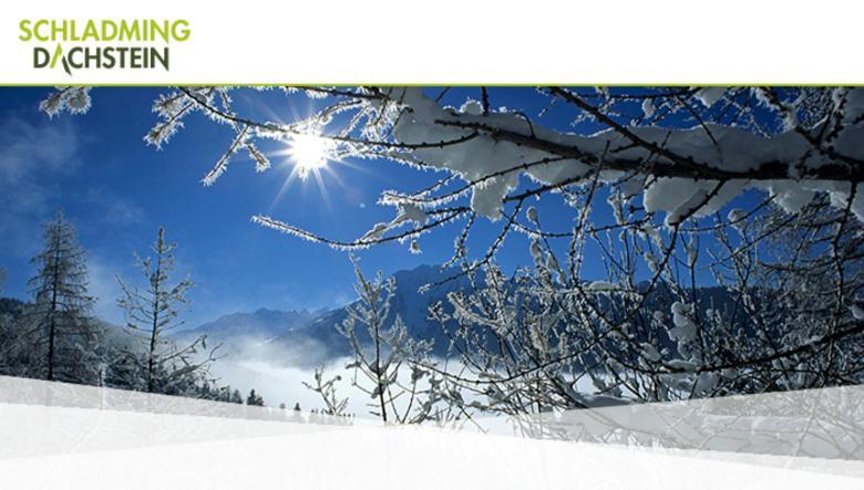 Hotel Vitaler Landauerhof Schladming Εξωτερικό φωτογραφία