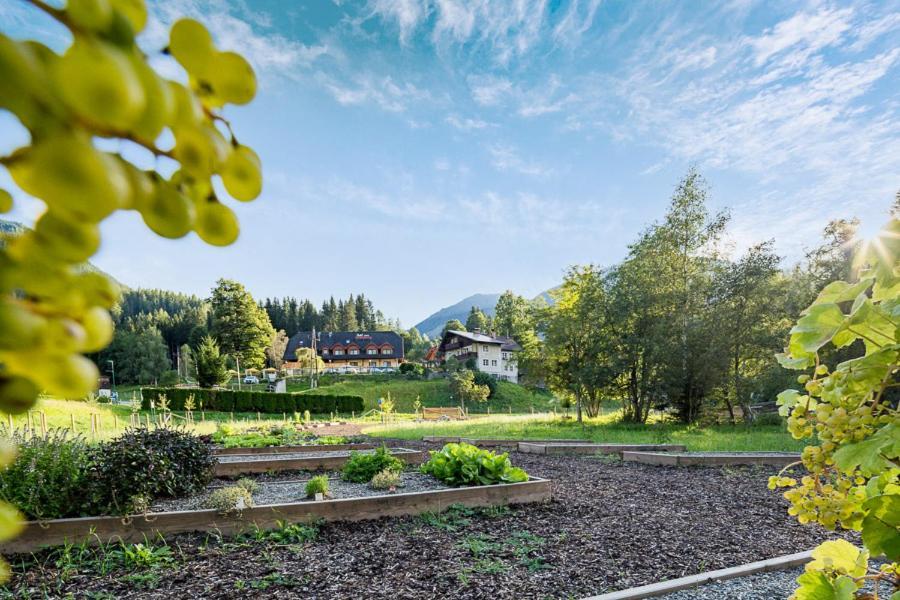 Hotel Vitaler Landauerhof Schladming Εξωτερικό φωτογραφία